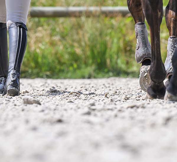 Aliment cheval TEAM FAP spécialités équine