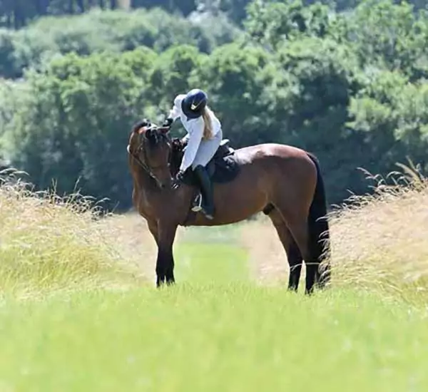 Aliment cheval Team Floc