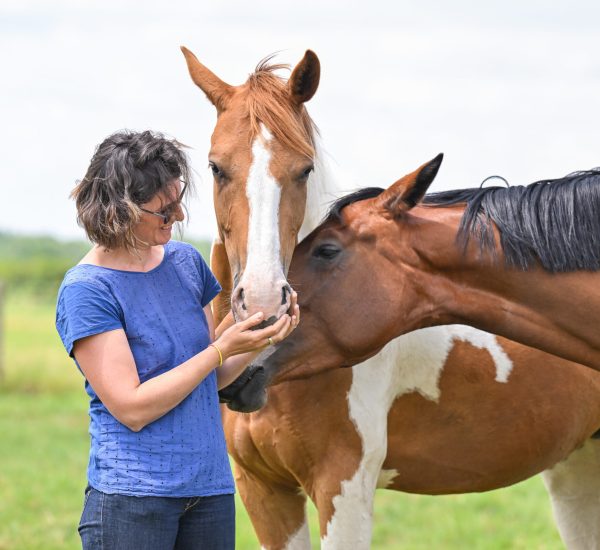 Retouches & Modifications interdites